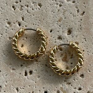 Elegant Gold Filled Hoop Earrings